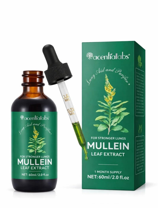Mullein Leaf Extract Drops – Lung & Respiratory Support