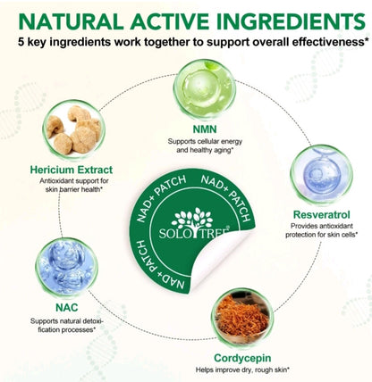 Diagram of natural active ingredients with Solotree brand focus
