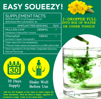 Mullein Leaf Extract Drops – Lung & Respiratory Support