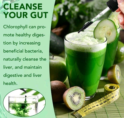 Liquid Chlorophyll Drops – Detox & Freshness Support