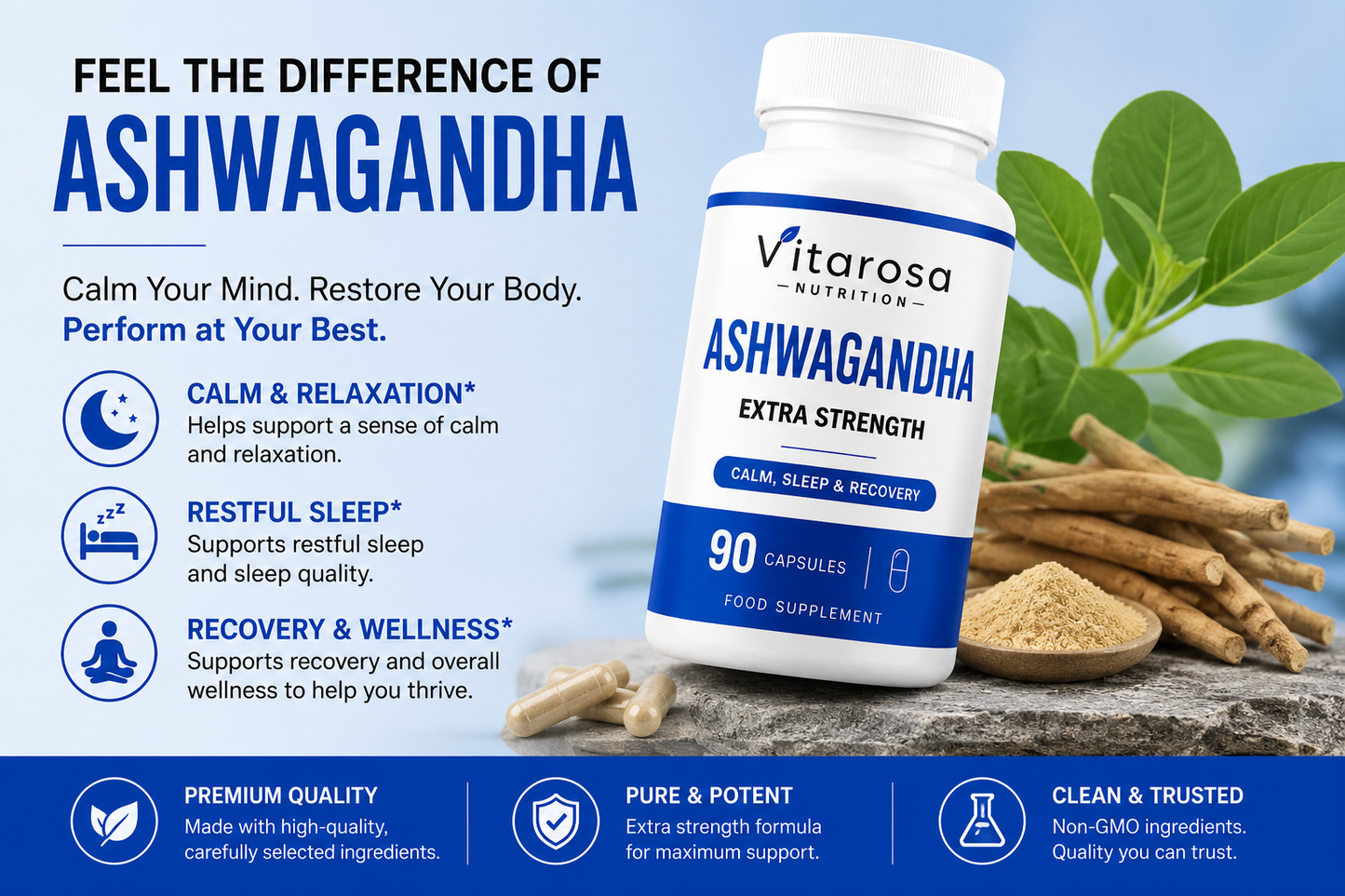 Ashwagandha High Strength 90 Capsules