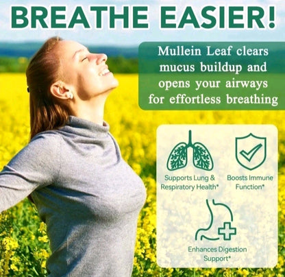Woman in a field of yellow flowers with text about Mullein Leaf benefits for breathing and health.