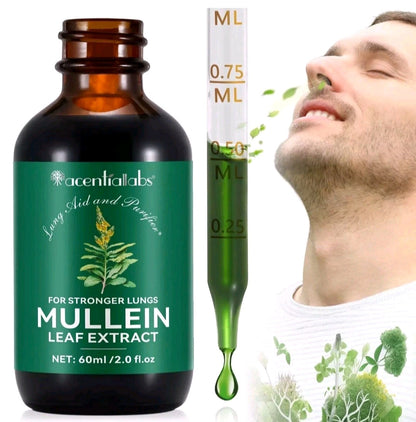 Mullein Leaf Extract Drops – Lung & Respiratory Support