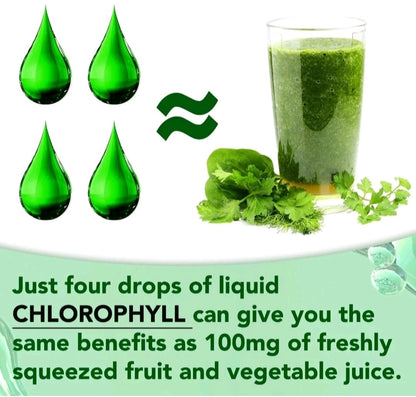 Liquid Chlorophyll Drops – Detox & Freshness Support