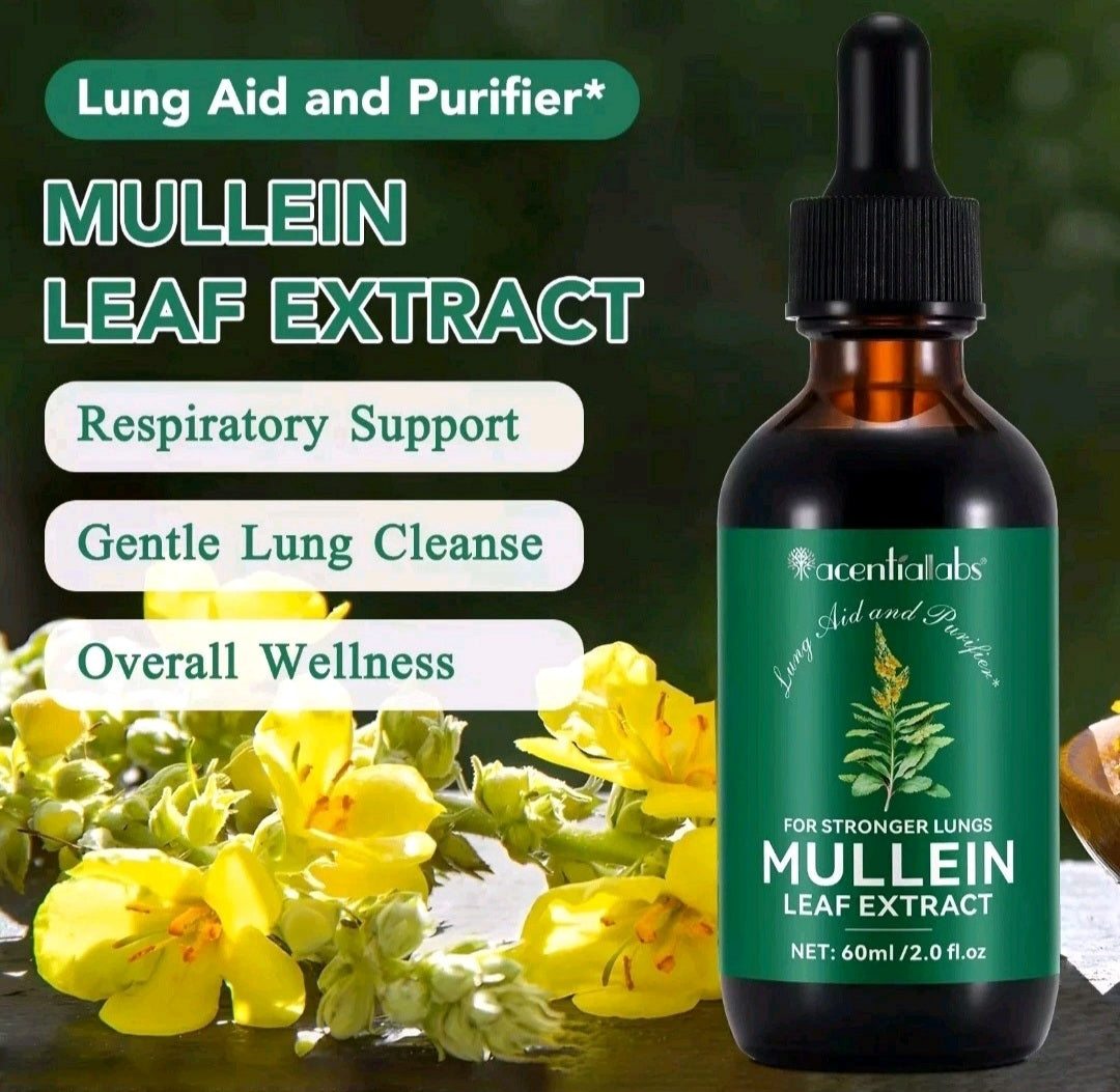 Mullein Leaf Extract Drops – Lung & Respiratory Support