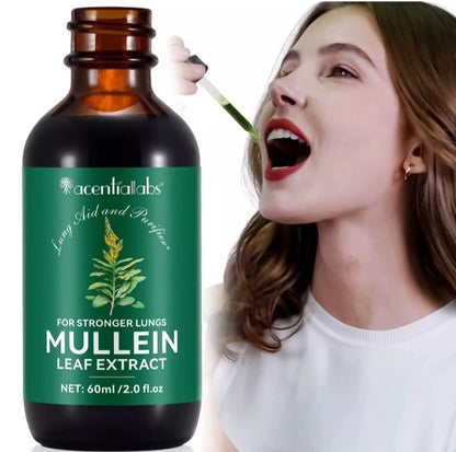 Mullein Leaf Extract Drops – Lung & Respiratory Support