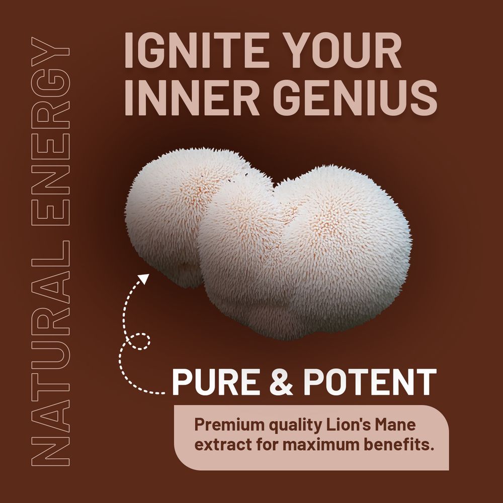 Prowise Lion’s Mane with B Vitamins – 180 Tablets – lion’s mane ingredient infographic