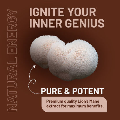 Prowise Lion’s Mane with B Vitamins – 180 Tablets – lion’s mane ingredient infographic